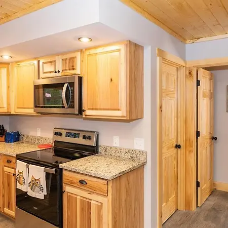 The Snow Owl Cabin Maggie Valley Extérieur photo