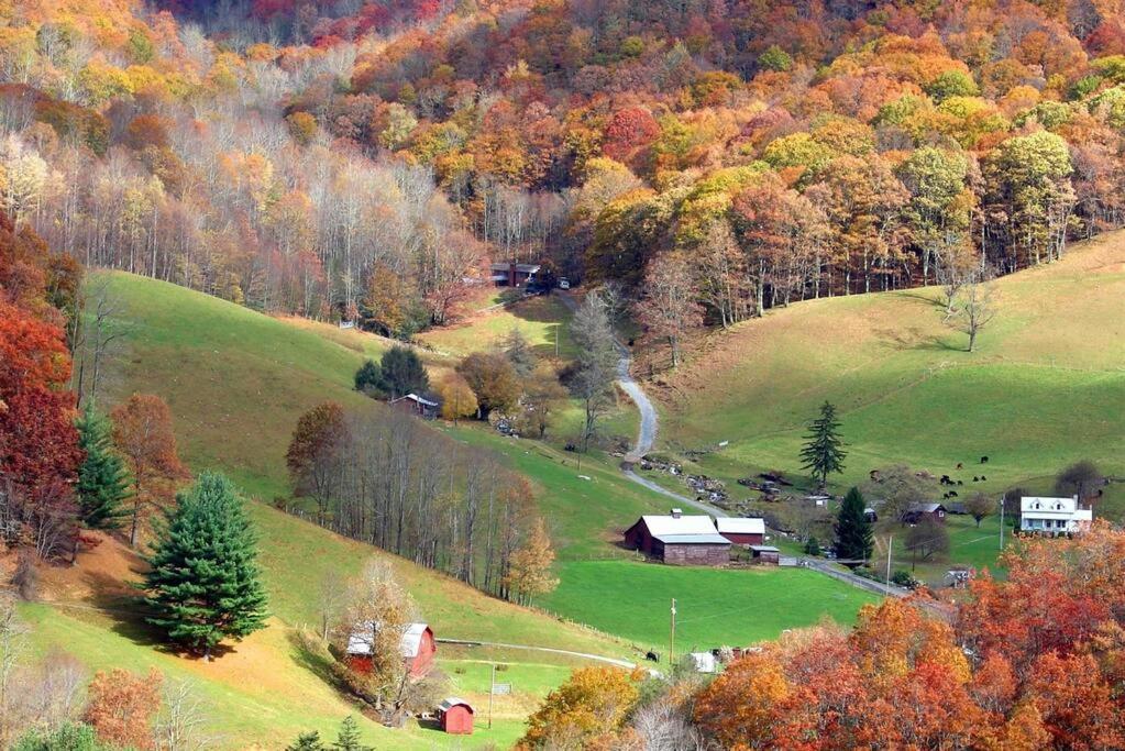 The Snow Owl * Maggie Valley
