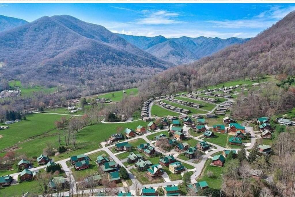 The Snow Owl * Maggie Valley